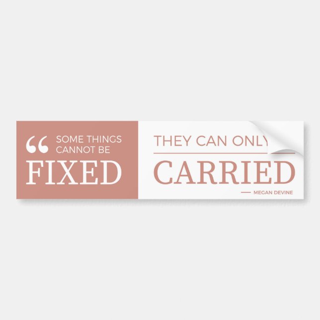 Some things cannot be fixed - bumper sticker (Front)