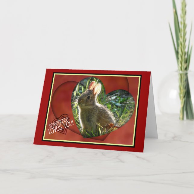 Somebunny Loves You! Bunny Photograph Holiday Card (Front)