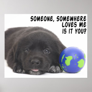 Someone, Somewhere Poster