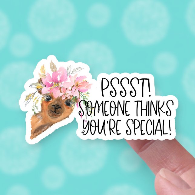 Someone Thinks You're Special Gift Mail Cute Llama (Creator Uploaded)