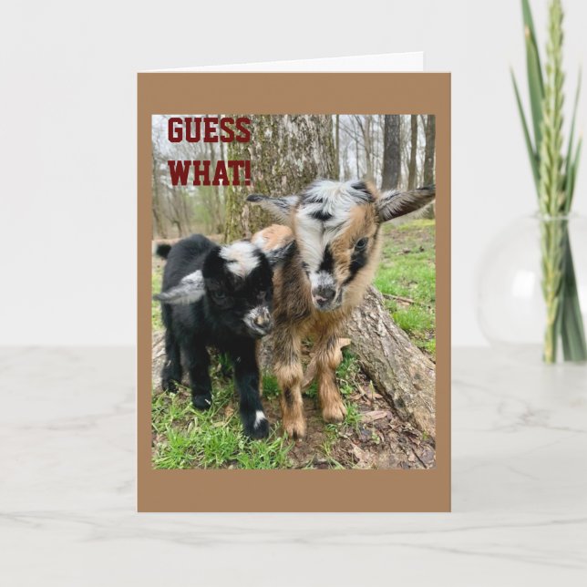 SOMEONE "VERY SPECIAL" IS HAVING A **BIRTHDAY** CARD (Front)