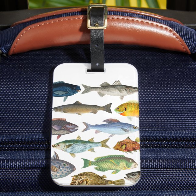 Something Fishy Luggage Tag (Front Insitu 2)