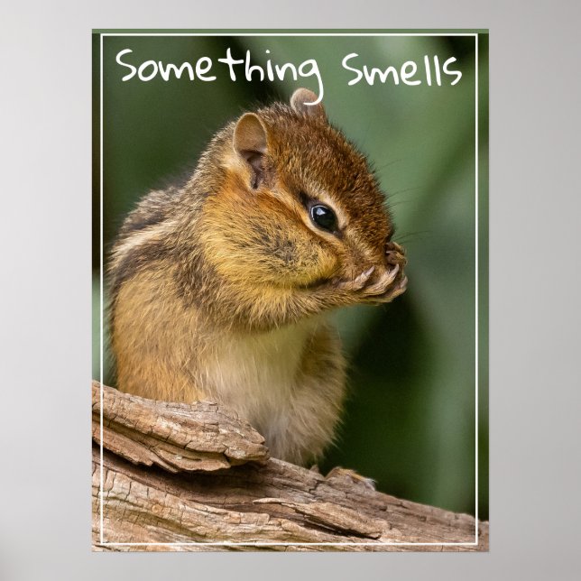Something Smells Text Chipmunk  Poster (Front)