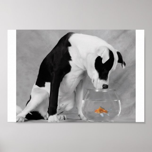 Something to eat perhaps? poster (Front)