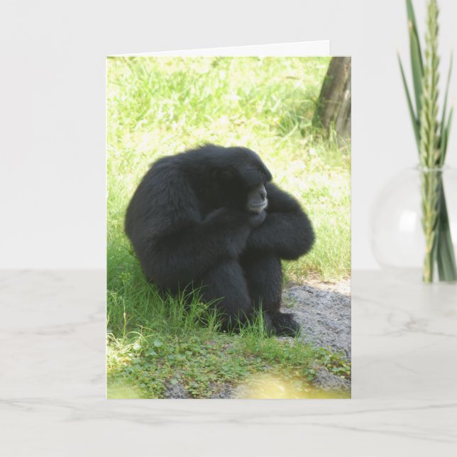 Sometimes Even Monkeys Have Bad Days Card (Front)