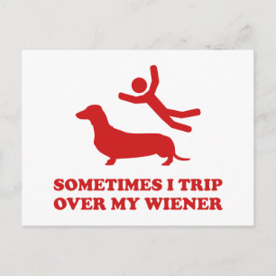 Sometimes I Trip Over My Wiener Postcard