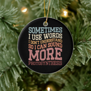 Sometimes I Use Words I Don't Understand Funny Ceramic Ornament