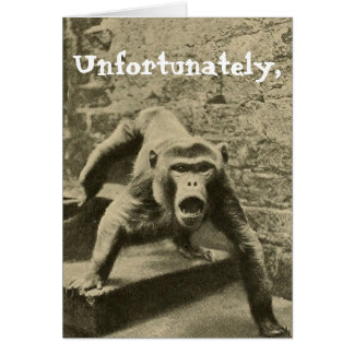 Sometimes it is Your Circus, They are Your Monkeys