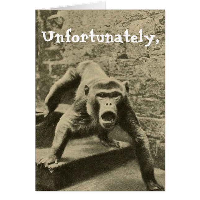 Sometimes it is Your Circus, They are Your Monkeys (Front)