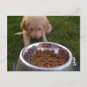 Sometimes its hard to fulfil your expectations postcard