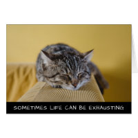 Sometimes Life Can Be Exhausting Cute Cat