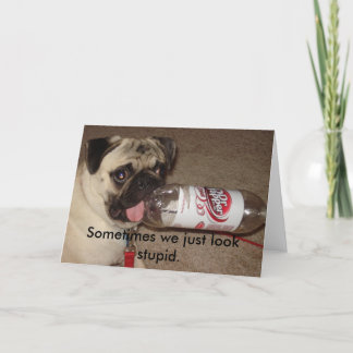 Sometimes we just look stupid greeting card