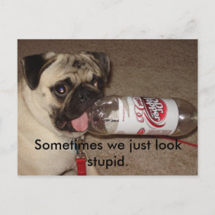 Sometimes we just look stupid. postcards