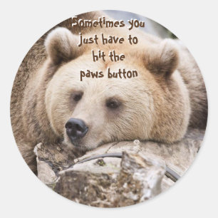 "Sometimes you  just have to hit the paws button" Classic Round Sticker