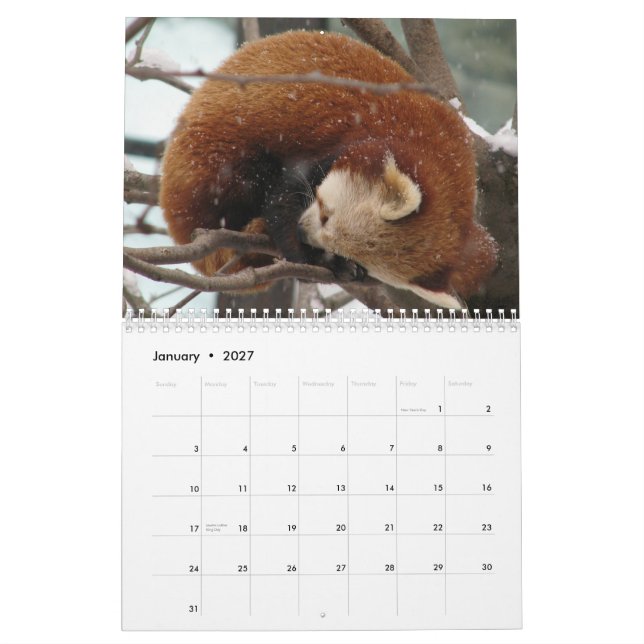 Somewhat-Seasonal Calendar (Jan 2027)