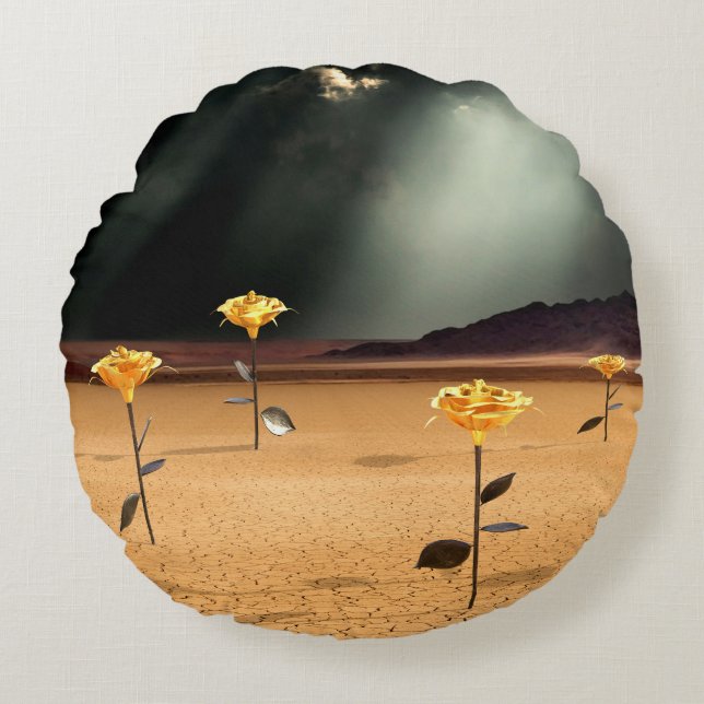 Somewhere No. 3 Round Pillow (Front)