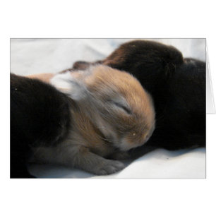 Sommeil 2