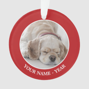 Sommeil de chien de cocker