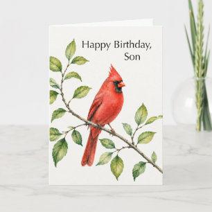 Son Birthday Red Cardinal on Branch Card