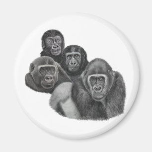 Son Gorilla Magnet By AGE. Gorilla Life