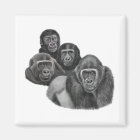 Son Gorilla Magnet By AGE. Gorilla Life