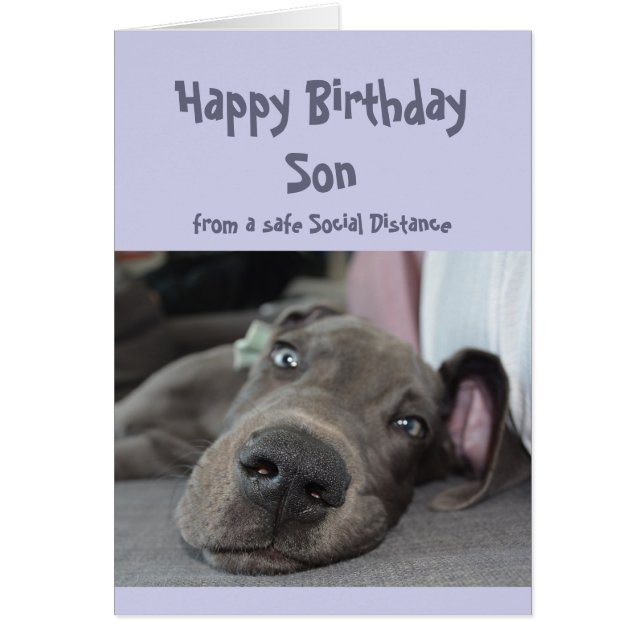 Son Social Distance Birthday Great Dane Dog (Devant)