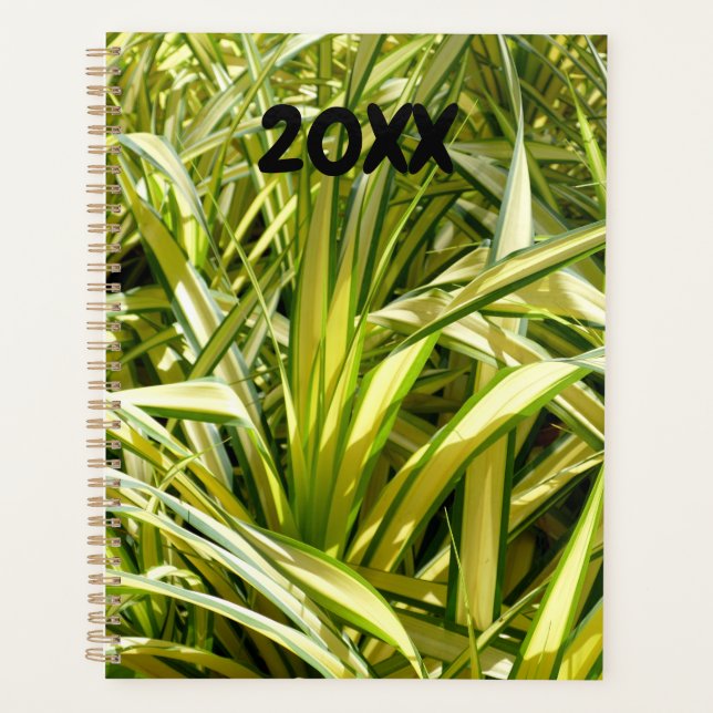 Song of India Planner (Front)