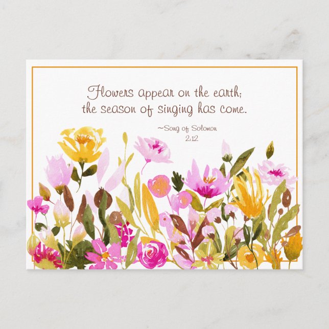 Song of Solomon 2:12 Flowers appear on the earth Postcard (Front)