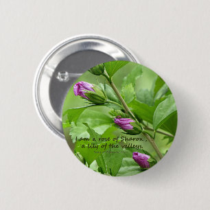 Song of Solomon 2:1 2 Inch Round Button