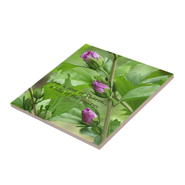 Song of Solomon 2:1 Tile (Side)