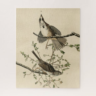 Song Sparrow from Audubon's Birds of America Jigsaw Puzzle