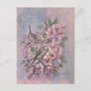 Song Sparrow Postcard