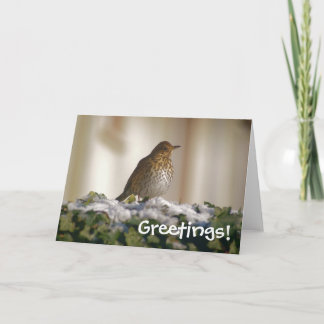 Song Thrush Greetings Card