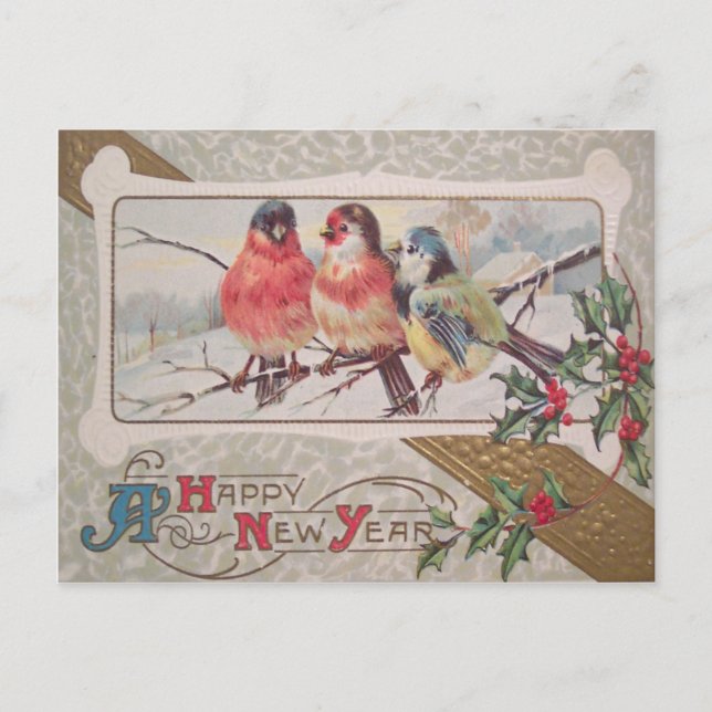 Songbird Holly Snow Postcard (Front)