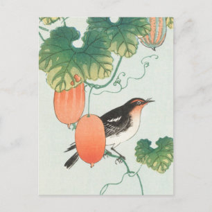 Songbird in Cucumber Plant Painting by Ohara Koson Postcard