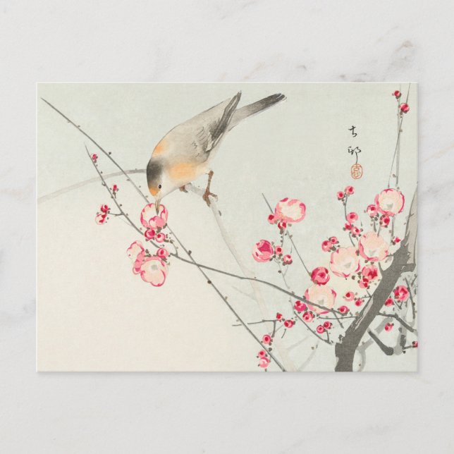 Songbird on Blossom Branch Painting by Ohara Koson Postcard (Front)