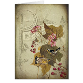 Songbirds and Berries