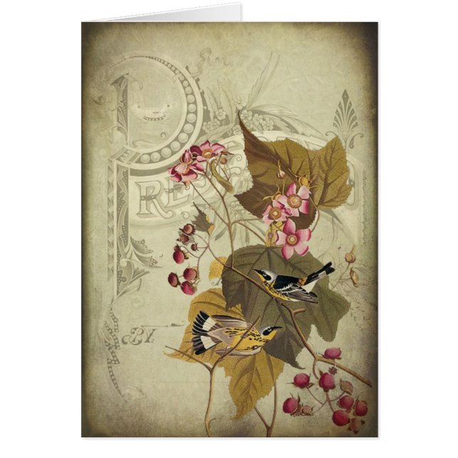 Songbirds and Berries (Front)