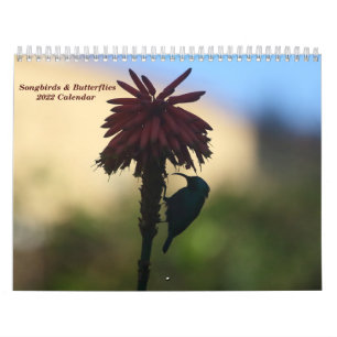 Songbirds & Butterflies Calendrier 2022