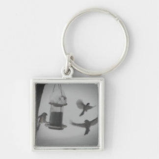 Songbirds Snow song * Keychain