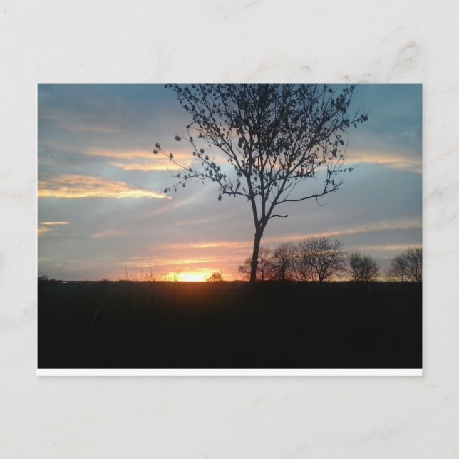 Sonnenaufgang Postcard (Front)