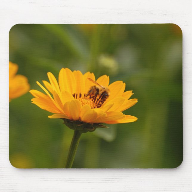 Sonnenblumen mit Biene Mouse Pad (Front)