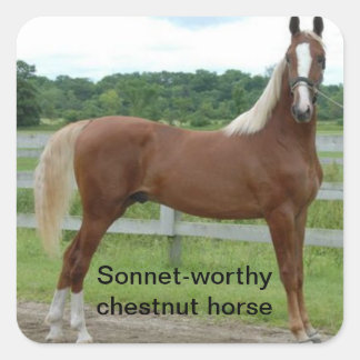 Sonnet-worthy chestnut horse (Shakespeare Henry V) Square Sticker