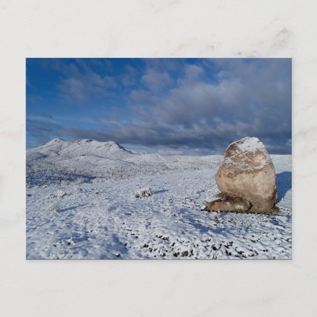 Sonny's Snow-capped Hill Postcard (Front)