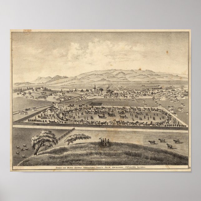 Sonoma and Marin District Agricultural Society Poster (Front)