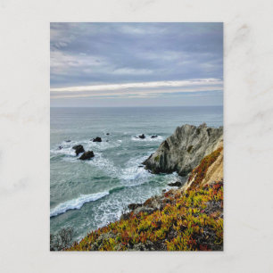 Sonoma Coast State Park, California Postcard