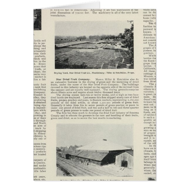 Sonoma County, California (Front)