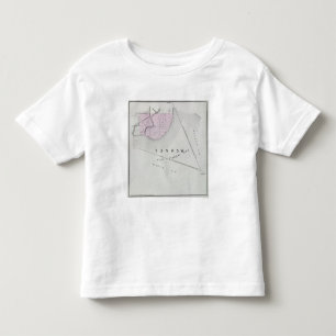 Sonoma County, California 24 Toddler T-shirt