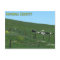 Sonoma County postcard