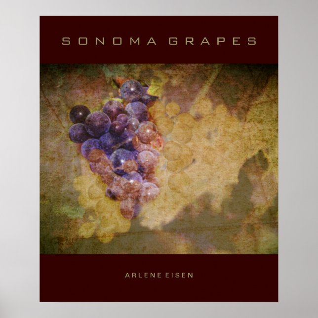Sonoma Grapes on Vine Poster (Front)